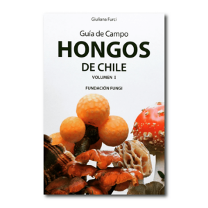 HONGOS DE CHILE   I