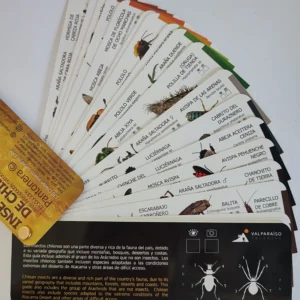 INSECTOS COMUNES DE CHILE CENTRAL