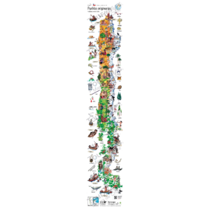 Mapa pueblos originarios Ancestrales